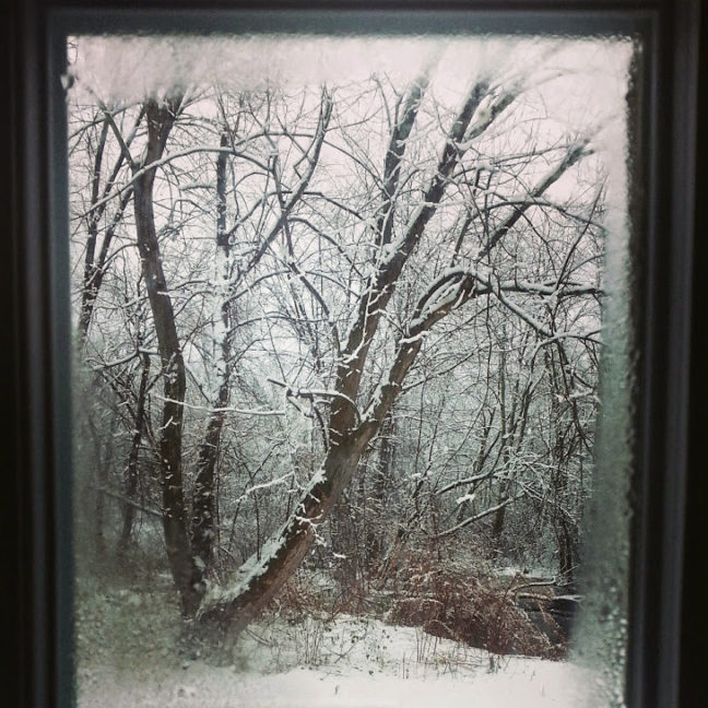 Winter Backyard out a Window