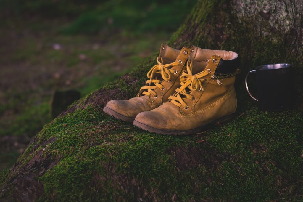 Work boots sitting on a tree root